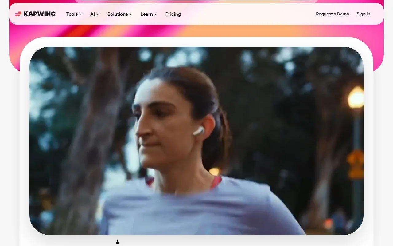 Kapwing screenshot 2